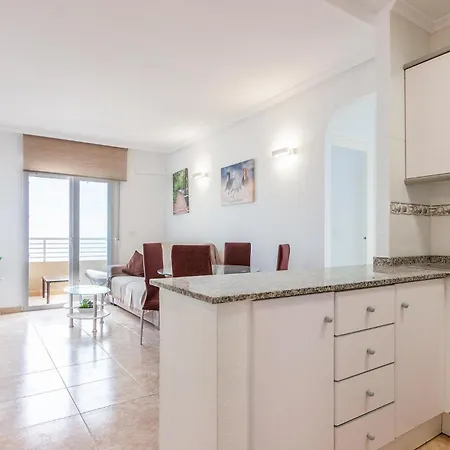 Apartment Lovely In With Kitchen
